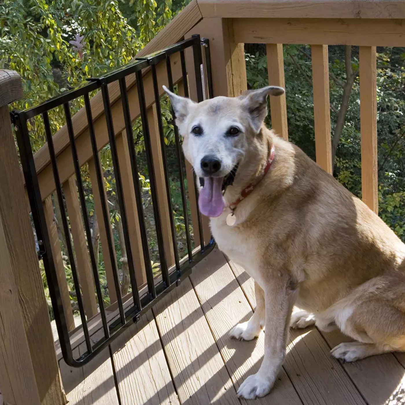 Cardinal Gates Stairway Special Outdoor Pet Gate