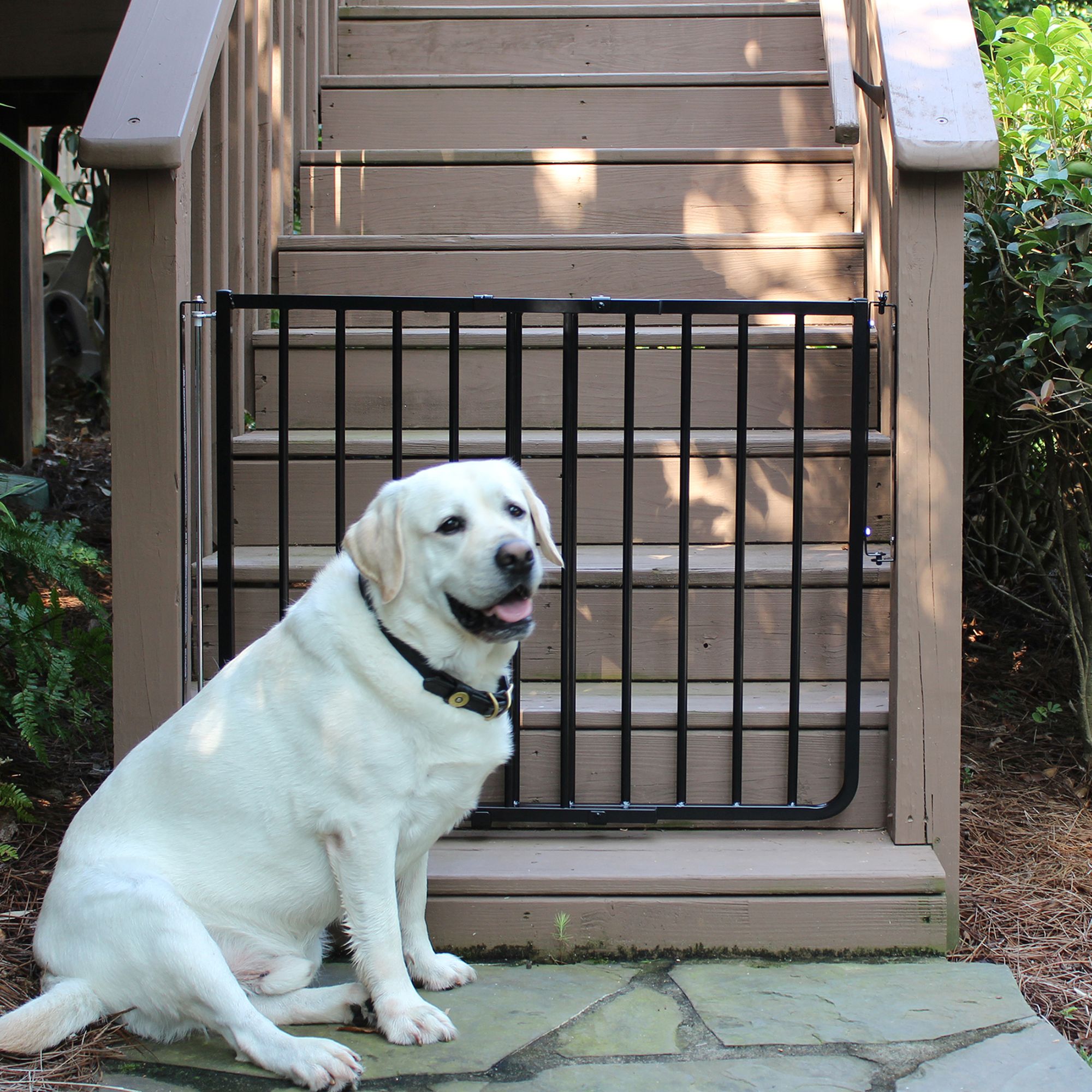 outdoor pet gate