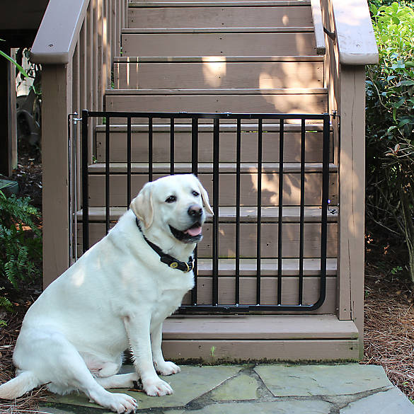 Cardinal Gates Stairway Special Outdoor, Outdoor Dog Gates