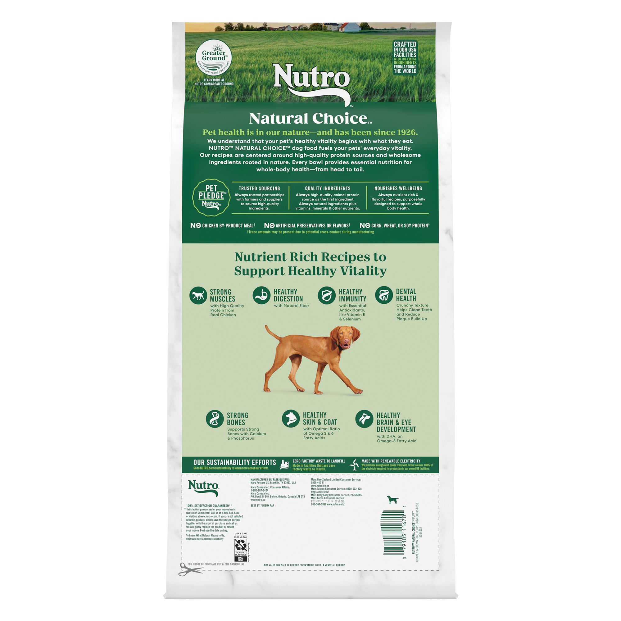 nutro grain free puppy food