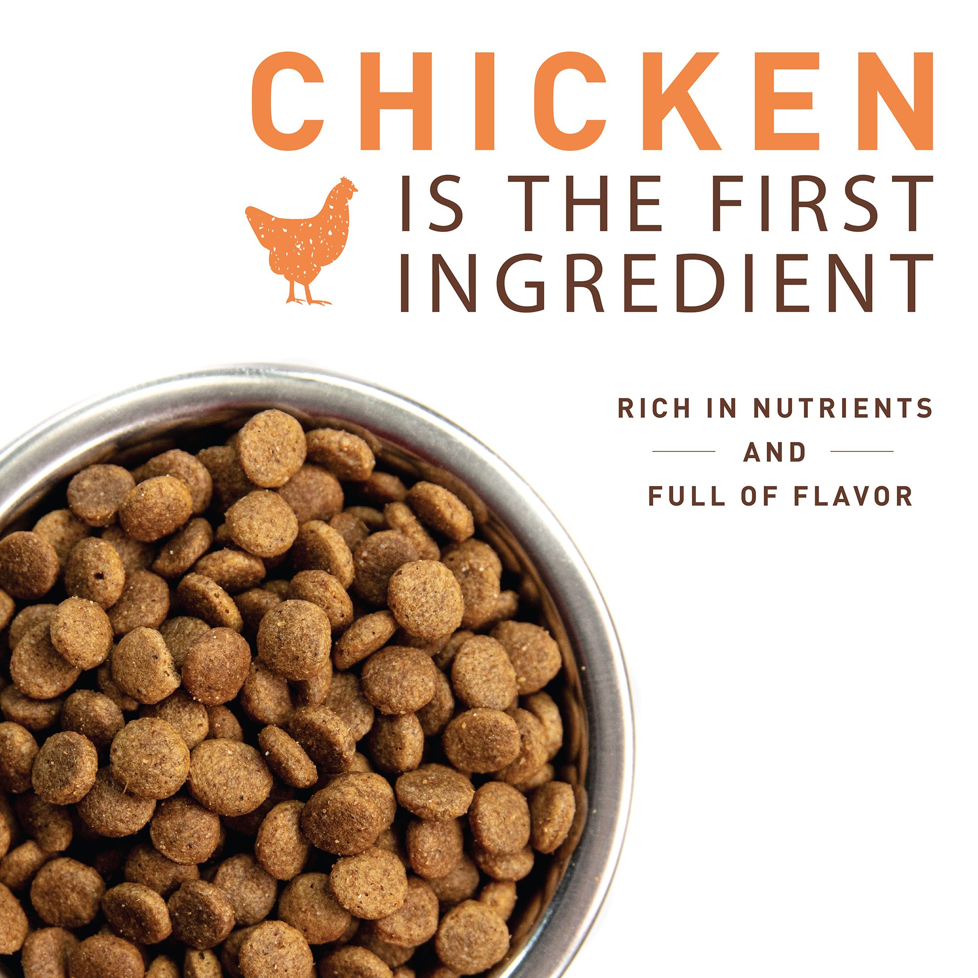 petsmart nutro cat food