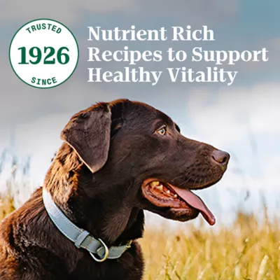 Product Nutro Natural Choice™ Large Breed Adult Dry Dog Food - Non-GMO, Lamb & Brown Rice