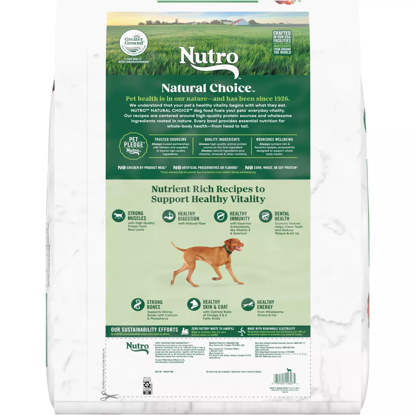 Dog food nutra best sale