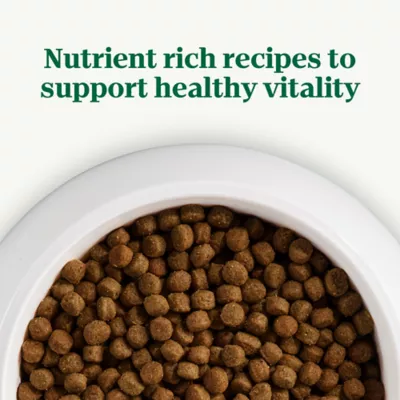 Nutro Natural Choice™ Small Bites Adult Dry Dog Food - Lamb & Brown Rice - Image 9