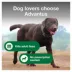 Advantus™ Dog Flea Treatment - 23-110 Lbs image thumbnail 3