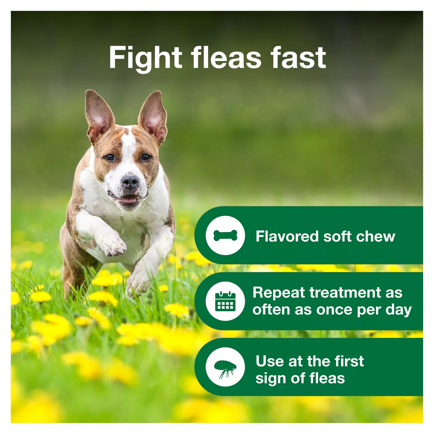 Advantus soft chew flea and tick treatment best sale