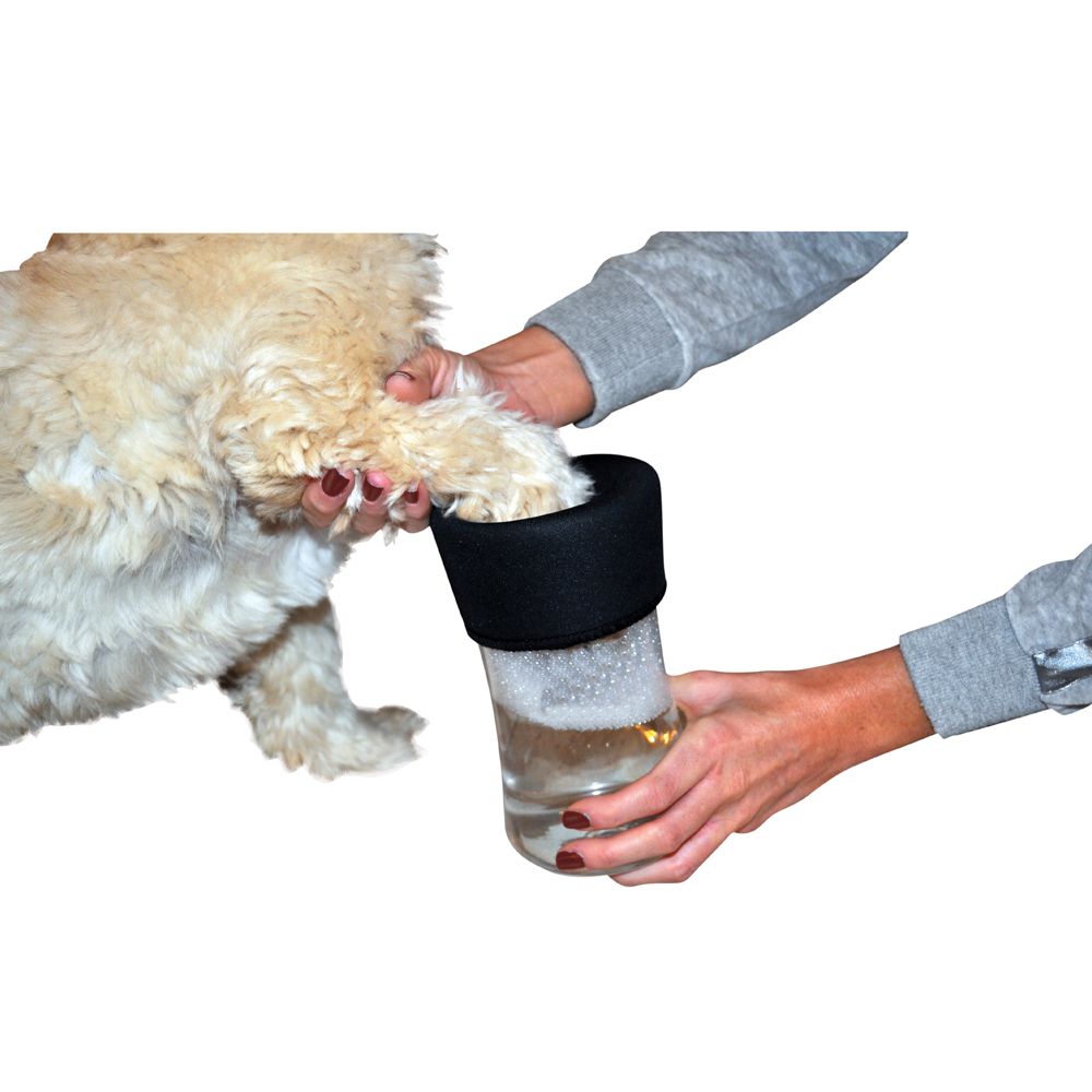 rehoming dogs from abroad