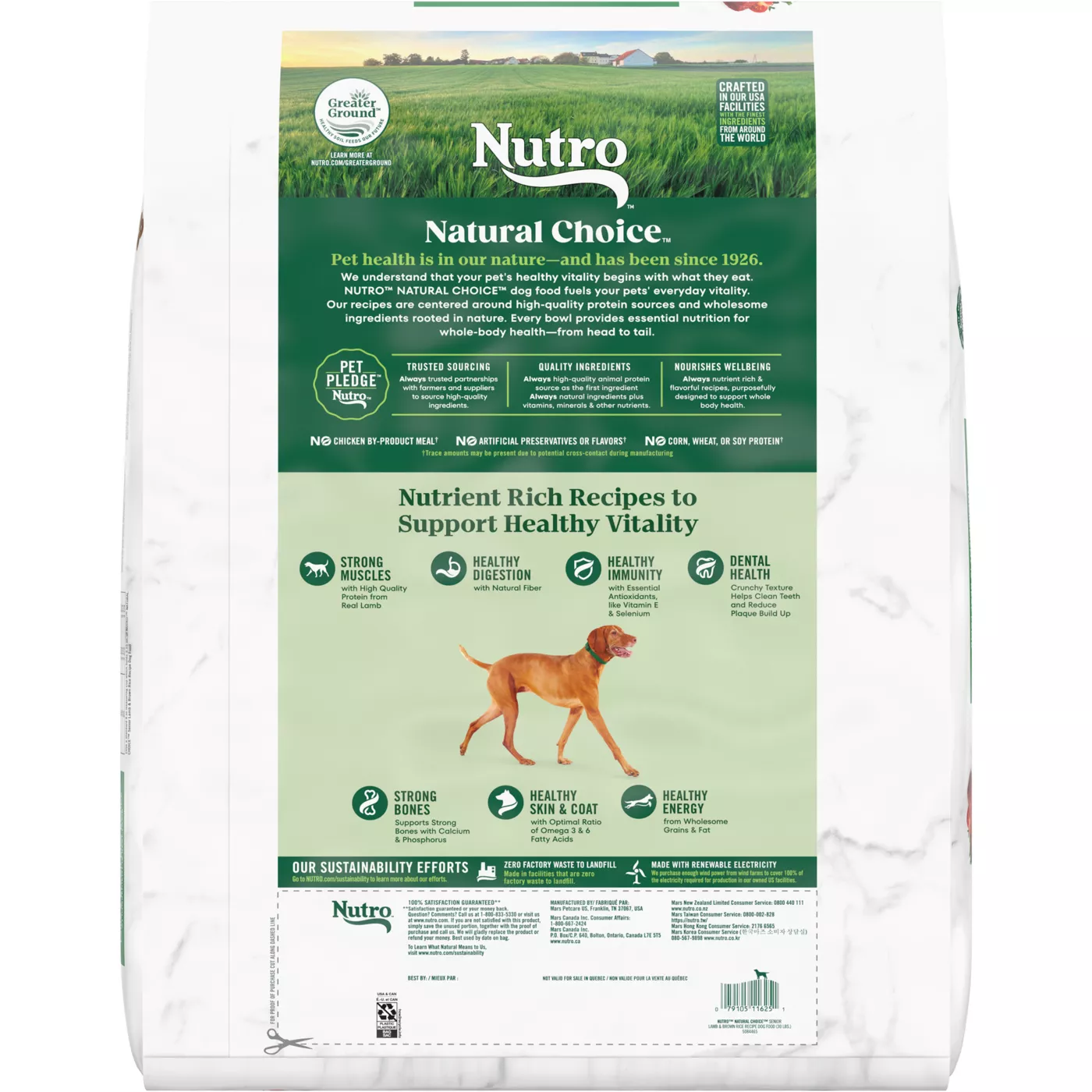 Nutro Wholesome Essentials Senior Lamb &amp; Rice Dry Dog Food, 30 