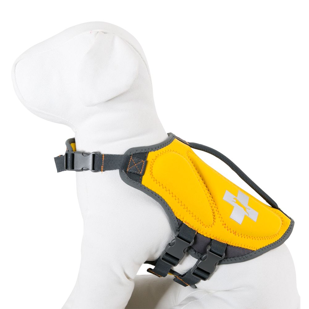 petsmart life vest