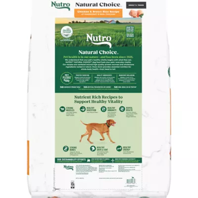 Nutro clean feed dog food best sale