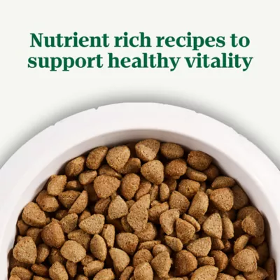 Nutro Wholesome Essentials Healthy Weight Adult Farm Raised Chicken Lentils Sweet Potato Dry Dog Food 30 lbs