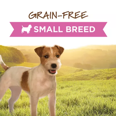 Product Instinct® Original Small Breed All Life Stages Wet Dog Food - Grain Free, Chicken