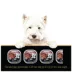 Cesar Home Delights Adult Wet Dog Food Beef Stew image thumbnail 2