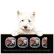 Product Cesar Home Delights Adult Wet Dog Food Beef Stew