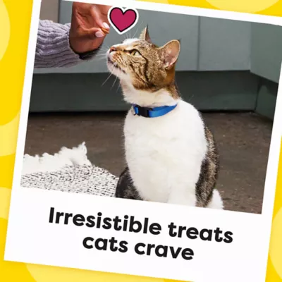 Product Temptations™ Classic Adult Cat Treats - Soft & Crunchy, Savory Salmon