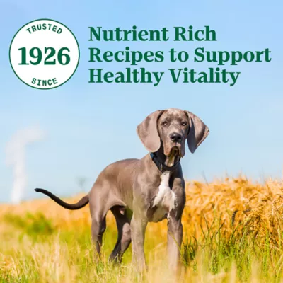 Nutro Natural Choice Large Breed Puppy Dry Dog Food Lamb Brown Rice