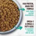 Nutrience® Grain Free Turkey, Chicken & Duck Indoor Cat Food image thumbnail 6