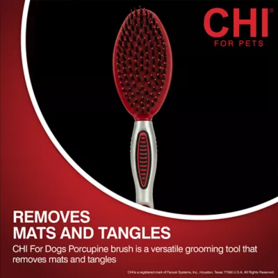 CHI® Bristle & Pin Porcupine Dog Brush - Image 7
