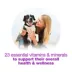 Beneful Chopped Blends Wet Dog Food, 283 g image thumbnail 4