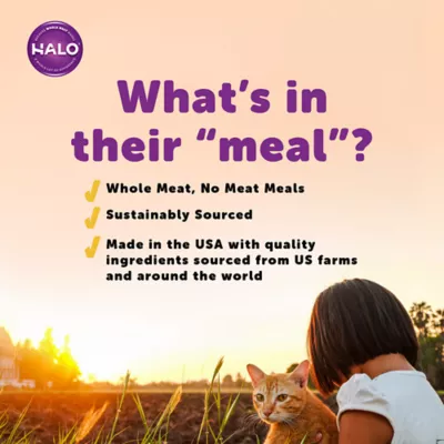 Product HALO® Indoor Cat Food - Natural, Grain Free, Salmon Recipe Pate