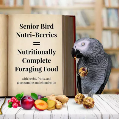 Product Lafeber's® Nutri-Berries Senior Parrot Dry Food