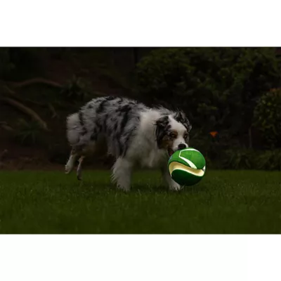 Product Chuckit!® Kick Fetch Ball Dog Toy - Glow in the Dark
