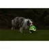 Chuckit!® Kick Fetch Ball Dog Toy - Glow in the Dark image thumbnail 5