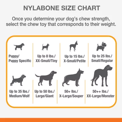 Nylabone antler alternative puppy best sale