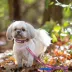 Pets First Buffalo Bills NFL Dog Leash image thumbnail 2