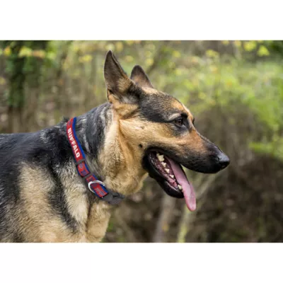 Product Buffalo Bills NFL Dog Collar
