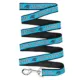 Product Carolina Panthers NFL Dog Leash