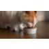 Instinct® All Life Stage Wet Cat Food - Grain Free, Variety Count, 12 ct. video thumbnail 9