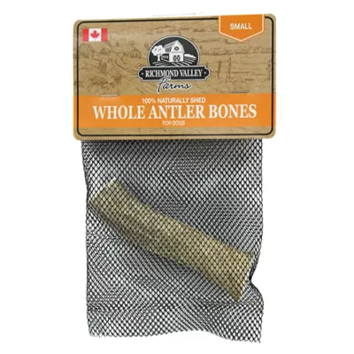 Richmond Valley Farms Whole Antler Bone Dog Treat - Image 1