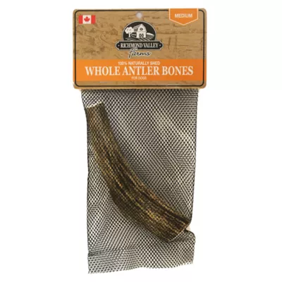 Richmond Valley Farms Whole Antler Bone Dog Treat - Image 1