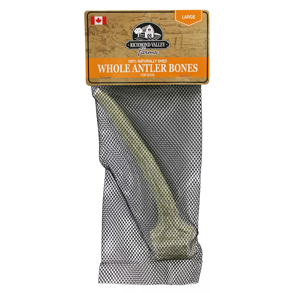 Richmond Valley Farms Whole Antler Bone Dog Treat