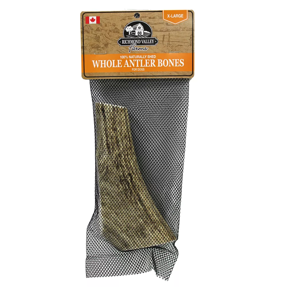 Richmond Valley Farms Whole Antler Bone Dog Treat