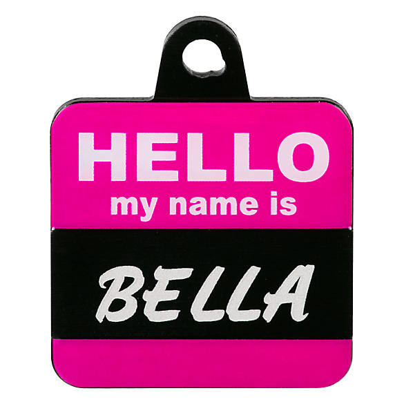 Tagworks Hello My Name Is Personalized Pet Id Tag Dog Id Tags Petsmart