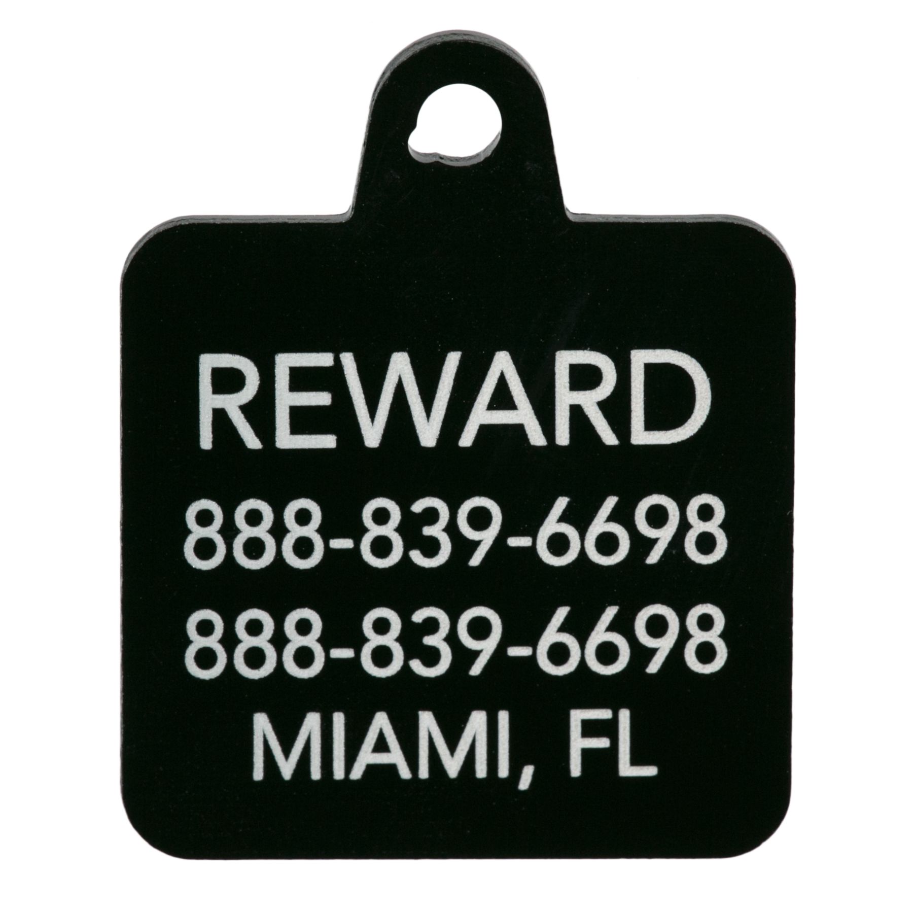 TagWorks Hello My Name Is Personalized Pet ID Tag