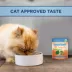 Natural Balance Platefulls Indoor Adult Cat Food - Grain Free, Chicken & Chicken Liver image thumbnail 3