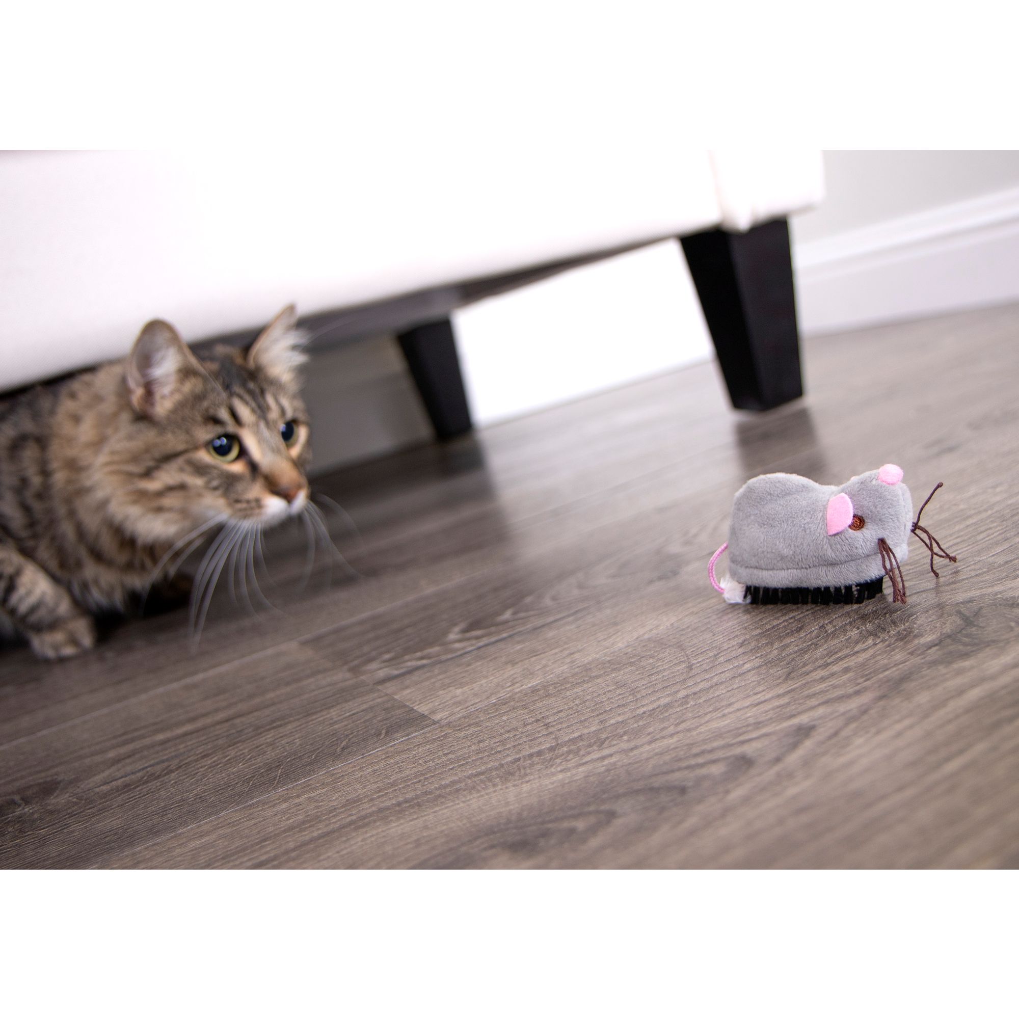 petsmart remote control mouse