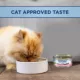 Product Natural Balance Limited Ingredient Diets Cat Food - Grain Free, Salmon & Green Pea