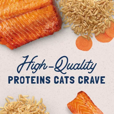 Product Natural Balance Ultra Premium Cat Food - Salmon