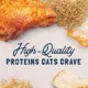 Product Natural Balance Ultra Premium Cat Food - Chicken & Liver, Pate