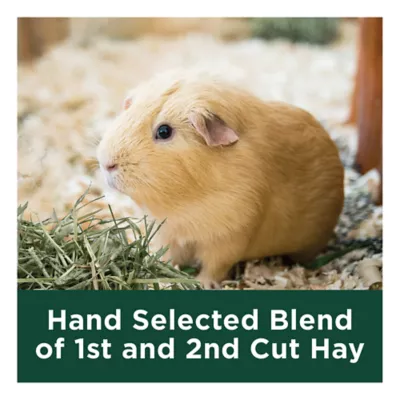 Product KAYTEE® All Natural Timothy Hay