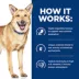 Hill's® Prescription Diet® i/d Digestive Care Adult Dog Food - Chicken image thumbnail 8