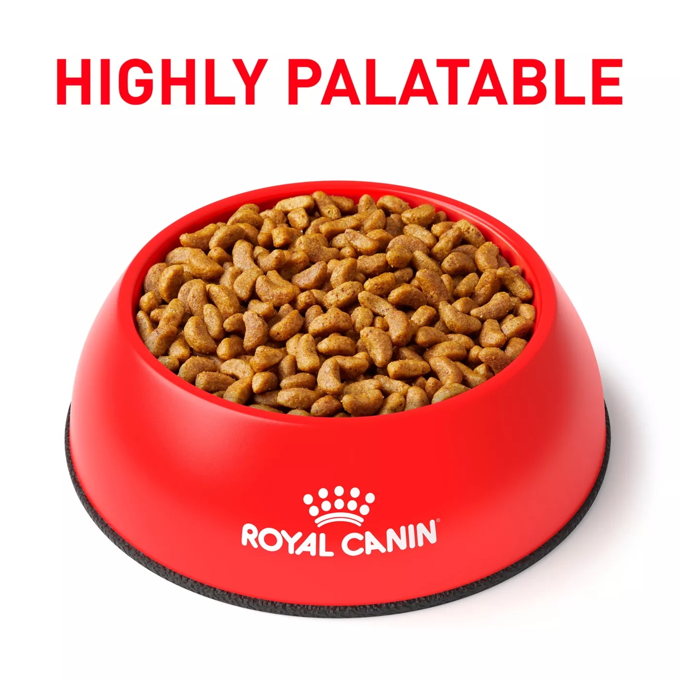 Highly palatable dog food hotsell