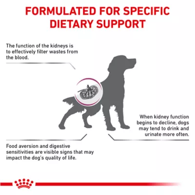 Product Royal Canin® Veterinary Diet Canine Renal Support S Adult Dry Dog Food