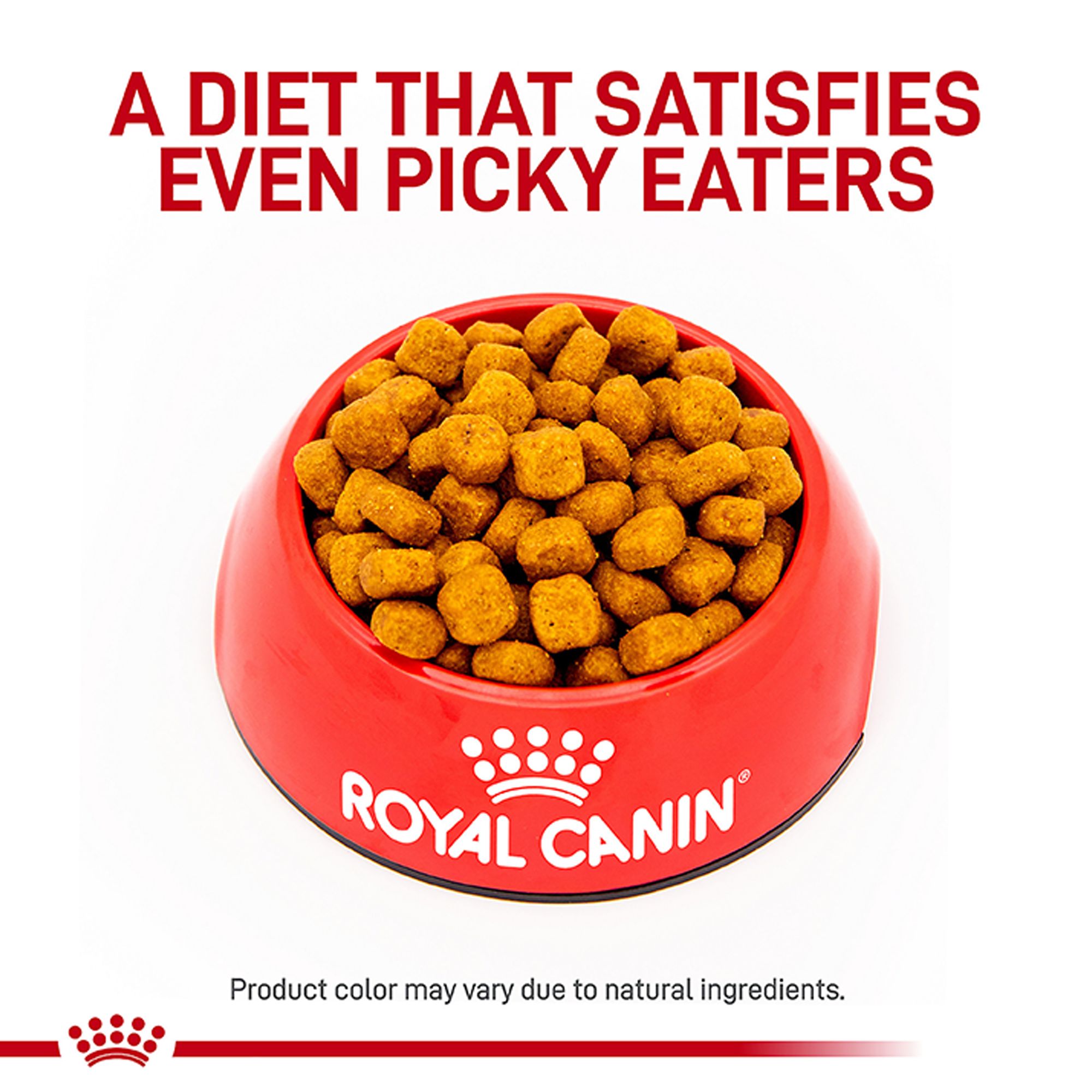 royal canin oral cat