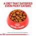 Royal Canin® Veterinary Diet Canine Dental Adult Small Dog Dry Food image thumbnail 2