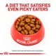 Product Royal Canin® Veterinary Diet Canine Dental Adult Small Dog Dry Food